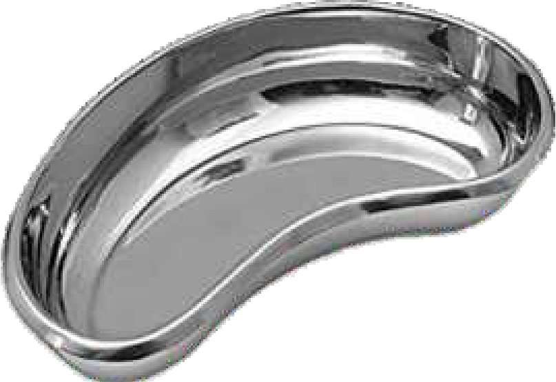 Kidney Tray 8 Inch